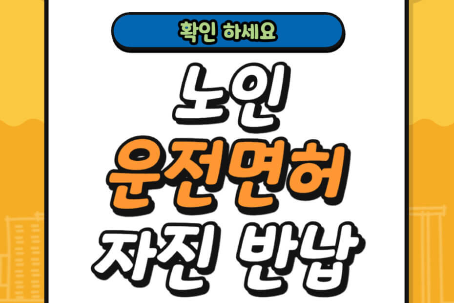 노인 운전면허 자진 반납